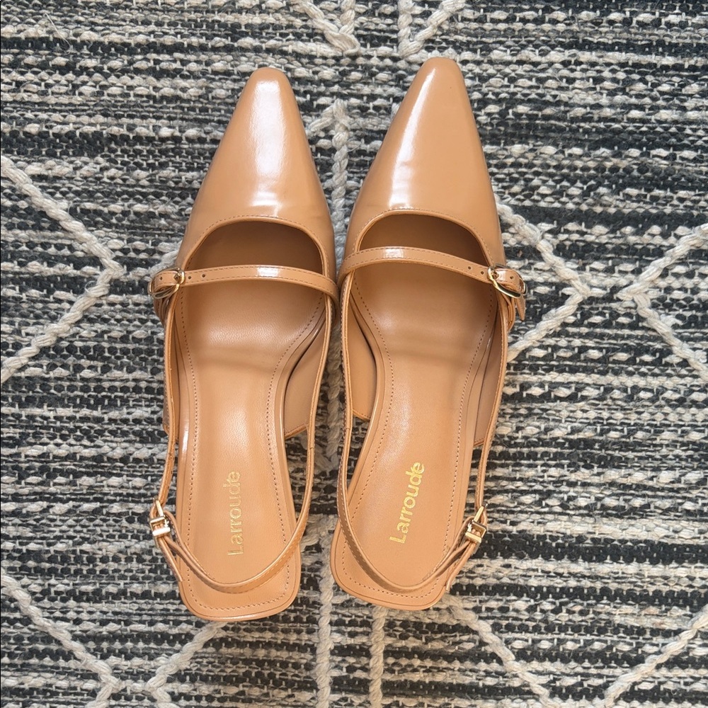 Larroude pumps